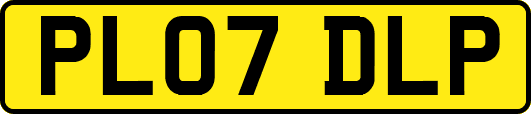 PL07DLP