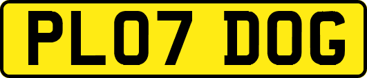 PL07DOG