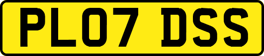 PL07DSS