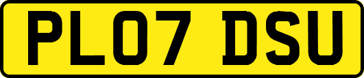PL07DSU
