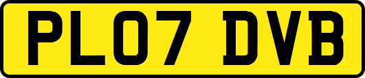 PL07DVB