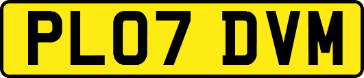 PL07DVM