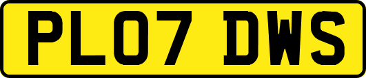 PL07DWS