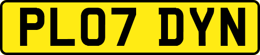 PL07DYN