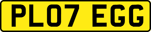 PL07EGG