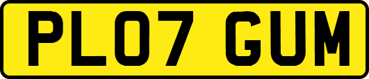 PL07GUM
