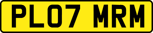 PL07MRM