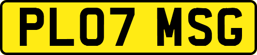 PL07MSG