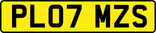 PL07MZS