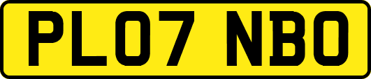 PL07NBO