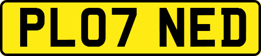 PL07NED