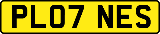 PL07NES