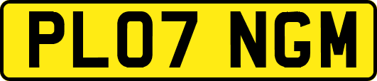 PL07NGM