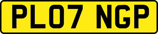 PL07NGP