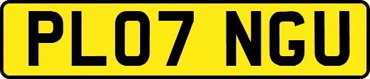 PL07NGU