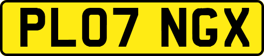 PL07NGX