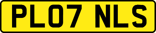 PL07NLS