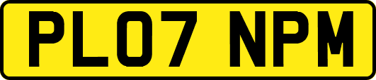 PL07NPM
