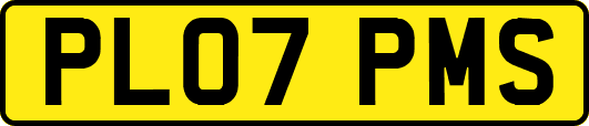 PL07PMS