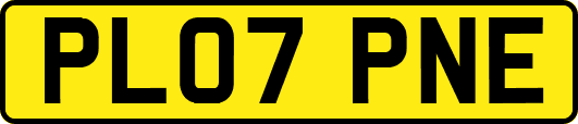 PL07PNE