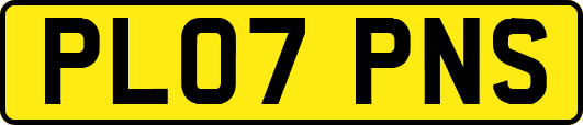 PL07PNS