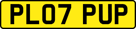 PL07PUP