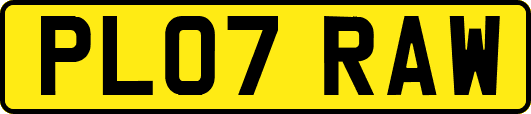 PL07RAW