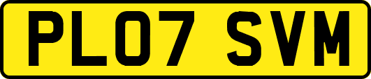 PL07SVM