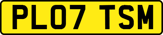 PL07TSM