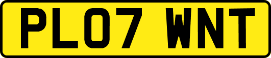 PL07WNT
