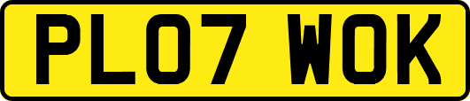 PL07WOK