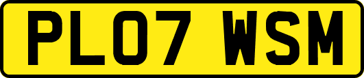 PL07WSM