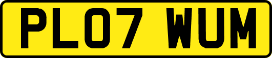 PL07WUM