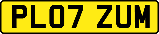 PL07ZUM
