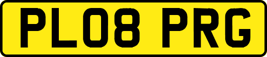 PL08PRG