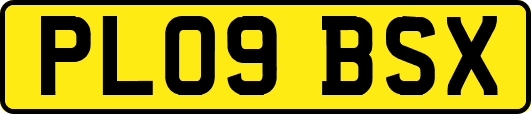 PL09BSX