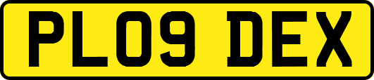 PL09DEX