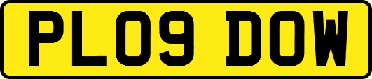 PL09DOW