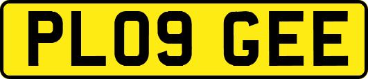PL09GEE