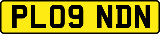 PL09NDN