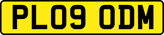 PL09ODM