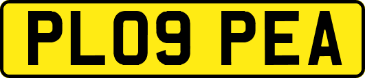 PL09PEA