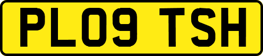 PL09TSH