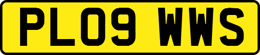 PL09WWS