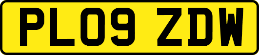 PL09ZDW