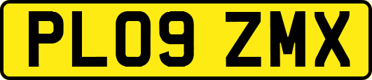 PL09ZMX