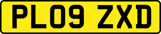 PL09ZXD