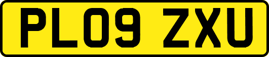 PL09ZXU