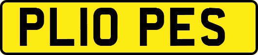 PL10PES