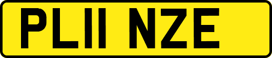 PL11NZE